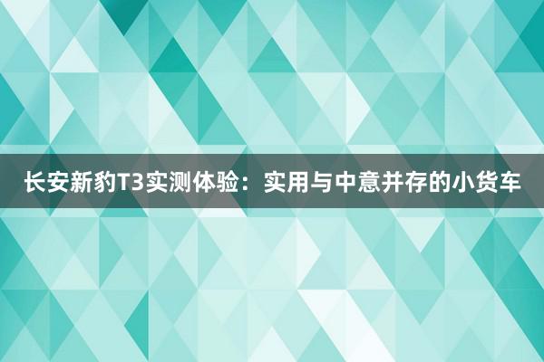 长安新豹T3实测体验：实用与中意并存的小货车